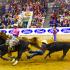 Autozone Liberty Bowl Rodeo
